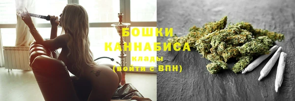 ПСИЛОЦИБИНОВЫЕ ГРИБЫ Лабытнанги