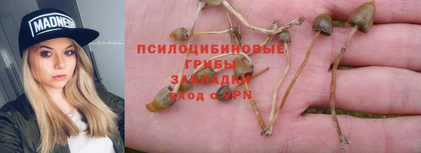 ешки Куйбышев