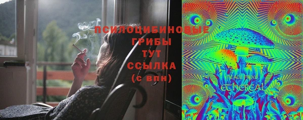 скорость Ладушкин
