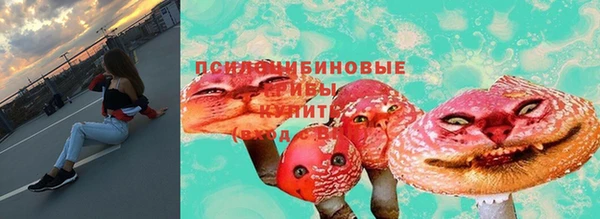 ПСИЛОЦИБИНОВЫЕ ГРИБЫ Лабытнанги