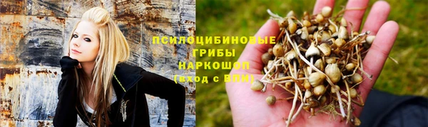 экстази Лагань