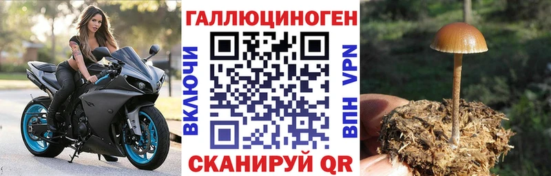 Псилоцибиновые грибы мицелий Называевск